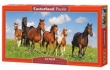 Puzzle Paso Fino Herd 4000
