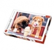Puzzle Pora na lody 500