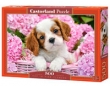 Puzzle Pup in Pink Flowers 500
