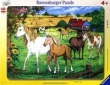 Puzzle ramkowe 46 Konie na padoku