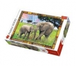 Puzzle Sawanna 3000