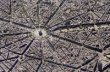 Puzzle Sky Views Paris 1000 elementów