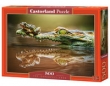 Puzzle The Daredevil Frog 500