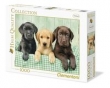 Puzzle Three Labs 1000