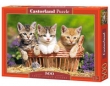 Puzzle Three Lovely Kittens 500