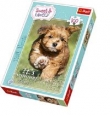 Puzzle Zabawa latem 100