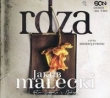 Rdza