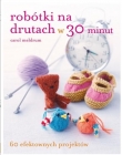 ROBÓTKI NA DRUTACH W 30 MINUT BR. BUCHMANN 9788378818687