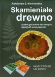 Skamieniałe drewno