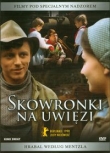 Skowronki na uwięzi (Płyta DVD)