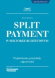 Split Payment w sektorze budżetowym