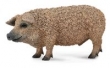 ŚWINIA WĘGIERSKA MANGALICA (DOMOWE - M)