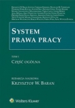 System prawa pracy