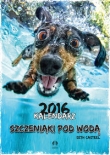 Szczeniaki pod wodą 2016