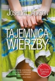 TAJEMNICA WIERZBY BR G+J 9788377782569