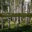 Teleman Flute Concertos