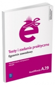 TESTY I ZAD.EGZ.ZAWOD.TECHNIK FRYZJER. WSIP 9788302146596