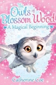 The Owls of Blossom Wood: A Magical Beginning