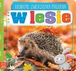 Ulubione zwierzątka malucha. W lesie.