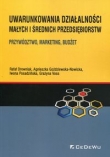Uwarunkowania działalności małych i średnich przedsiębiorstw