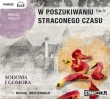 W poszukiwaniu straconego czasu