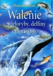 Walenie wieloryby delfiny i morświny