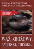 Wąż zbożowy, amurski, chiński?