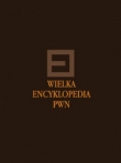 Wielka Encyklopedia PWN t. 19