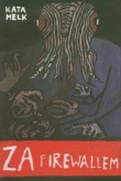 Za firewallem