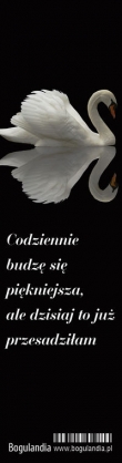 Zakładka 3 do książki - Codziennie budzę się piękniejsza