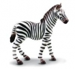 Zebra źrebię M