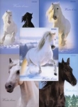 Zeszyt A4 Top-2000 w kratkę 96 kartek Winter Horses mix