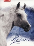 Zeszyt A5 w kratkę 60 kartek Horses 10 sztuk