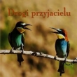 Ziarenka 10 Drogi przyjacielu