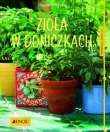 Zioła w doniczkach