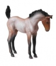 Żrebię Mustang maści gniadej M
