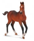 Źrebię Quarter maści sorrel