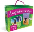 ZSM Pudełko MEMO