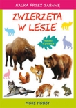 Zwierzęta w lesie