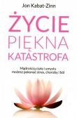 Życie. Piękna katastrofa. Wydanie 3