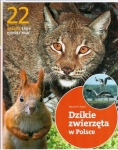 22-gatunki-ktore-musisz-znac-dzikie-zwierzeta-w-polsce.jpg