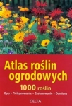 BN248724.jpg