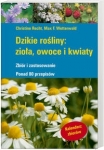 BN260741.jpg