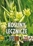 BN278271.jpg