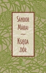 BN282406.jpg