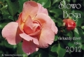 BN292600-1.jpg