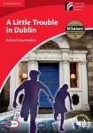 a-little-trouble-in-dublin.jpg