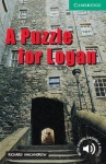 a-puzzle-for-logan.jpg