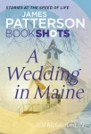 a-wedding-in-maine.jpg