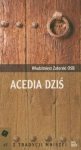 acedia-dzis.jpg